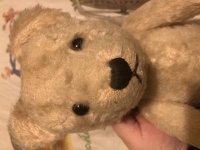 face of Austrian teddy bear?