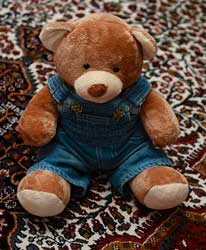 Dressed Teddy Bear picture by beggs