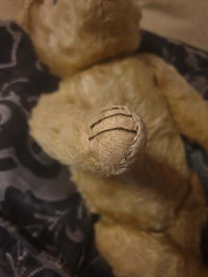 paw of Early 40's teddy bear.