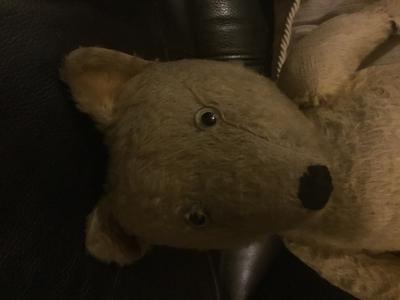Old teddy bear face