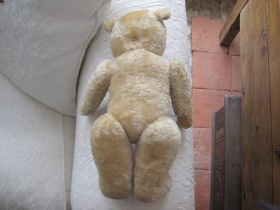 White teddy bear from behind