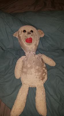 Girlfriend's Childhood Bear