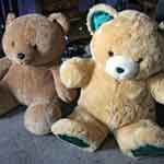 My dumpster bears