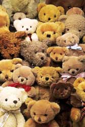 lot of teddy bears