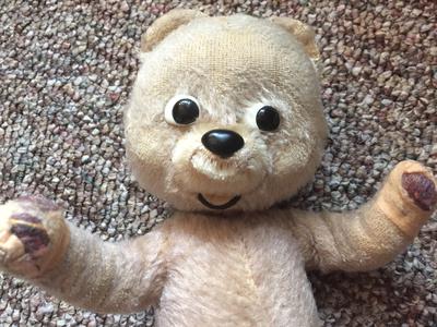 teddy bear with big eyes