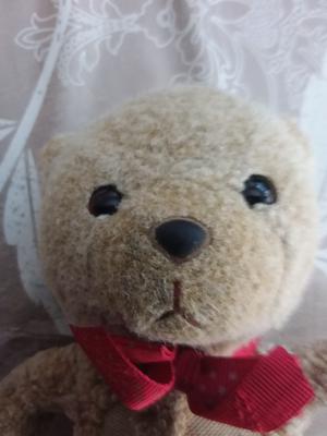 face of 23 year old teddy bear