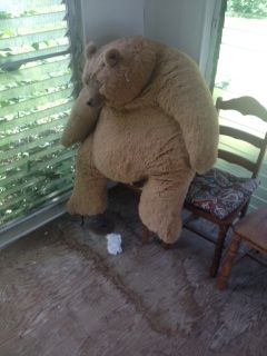 kodiak bear stuffed animal