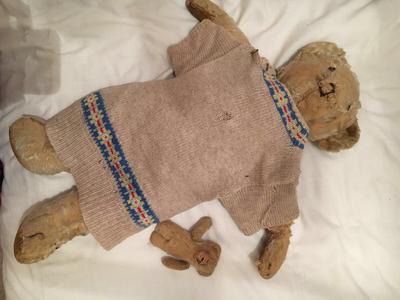 teddy bear in jumper