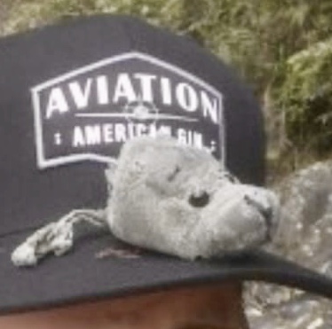 Teddy Bear head