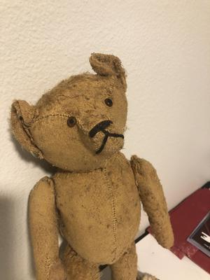 Old teddy bear