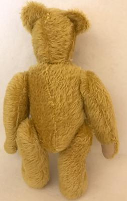 golden teddy bear back view