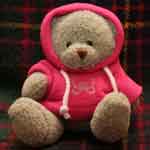hoodly teddy bear