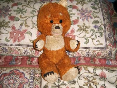 Unusual Teddy Bear