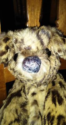 Steiff Cheetah/Leapord Bear