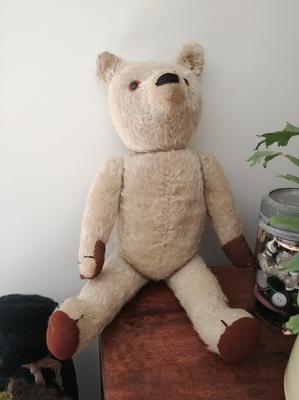 1940's American bear