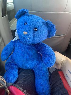 Blue Teddy Bear