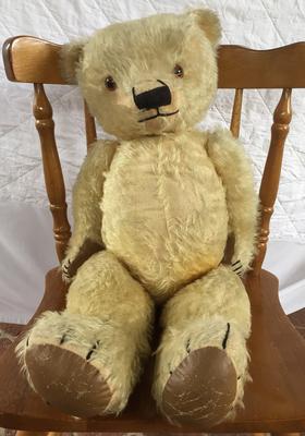 Teddy Bear sitting in a normal chair, May 2016