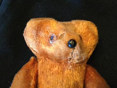 Little Brown teddy Bear face view