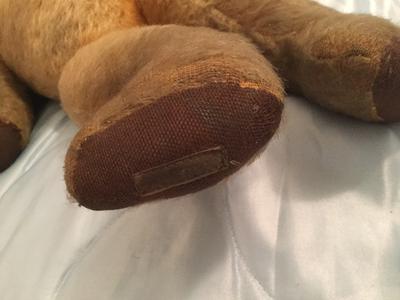 teddy bear foot