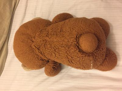 back view of teddy bear