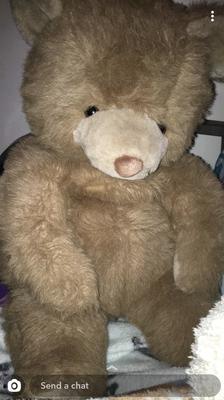 Teddy bear with fuzzy, light brown nose