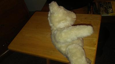 side view of bear