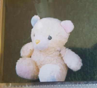 lost teddy bear