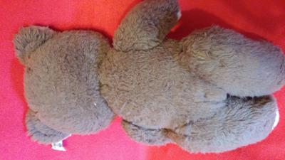 back view of teddy bear