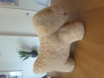 25cm old teddy bear / dog side view