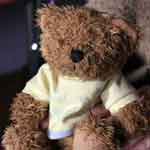 Mr Tidds teddy bear