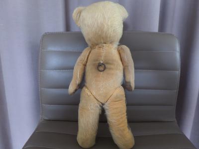 Musical Teddy Bear 1950's back view