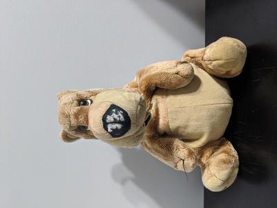 bear with a black nose, slightly round mouth, and small ears on back. Overall a brown/tan 