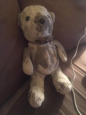 A well loved teddy bear