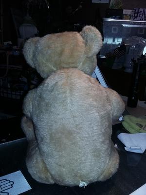 Back of old brown bear