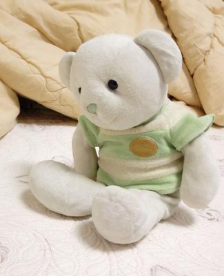 Teddy bear with green jumper