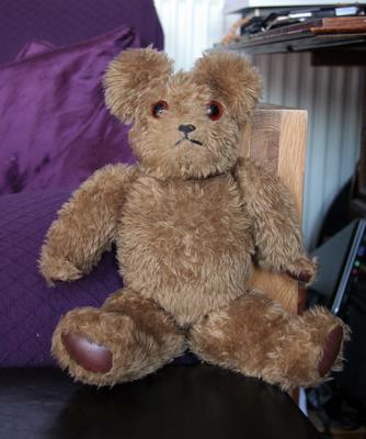 Odd Teddy Bear