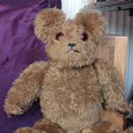 Odd Teddy Bear