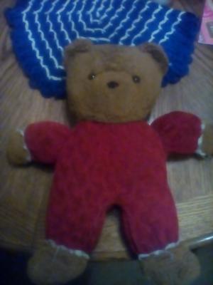 Brown bear in red suit