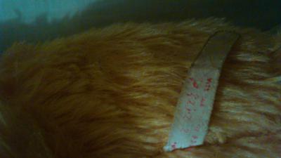 Old orange Bear label