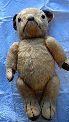 Old teddy bear in New Zealand