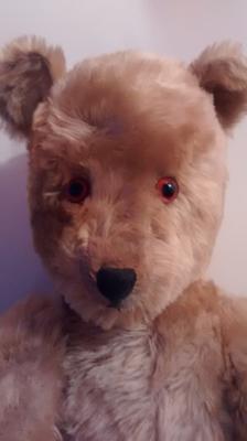 Face of teddy bear