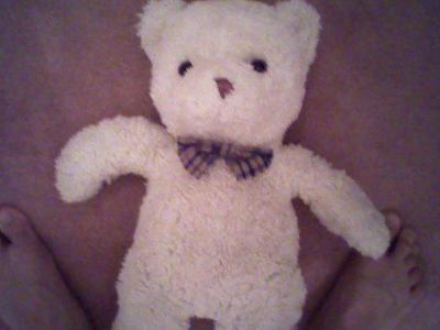 white teddy bear