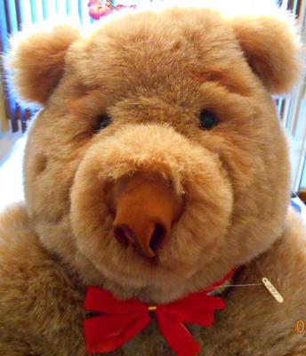 LArge Teddy bear face