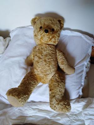 TEDDY 2