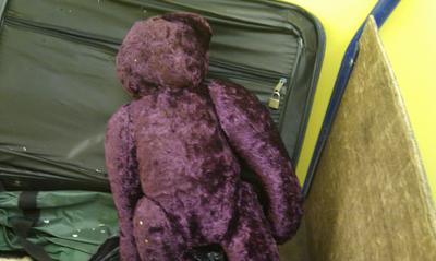 Purple Teddy Bear back view