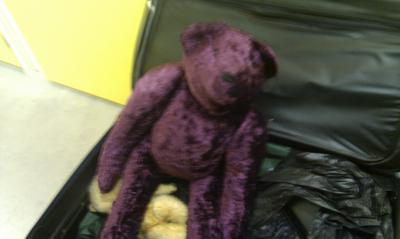 Purple Teddy Bear