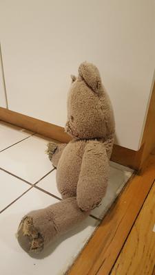 side view of tatty teddy bear