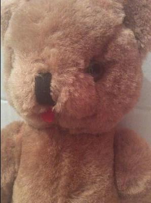 Strange straight Vertical nose teddy bear