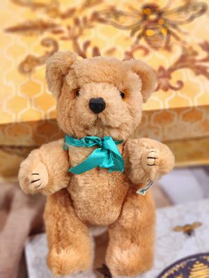 photo Full Front of Teddy Bear