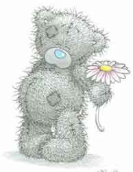 tatty bear drawing